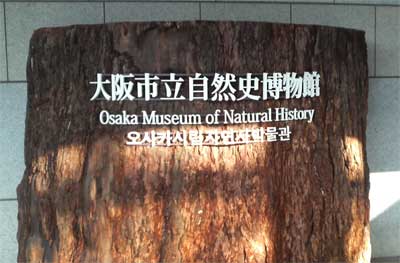 museum_osa01.jpg